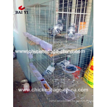 Trade Assurance Racing Pigeon House Supplier